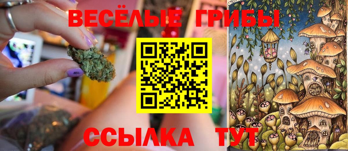 где продают наркотики  Вход с VPN  Копейск  Псилоцибиновые грибы Cubensis 