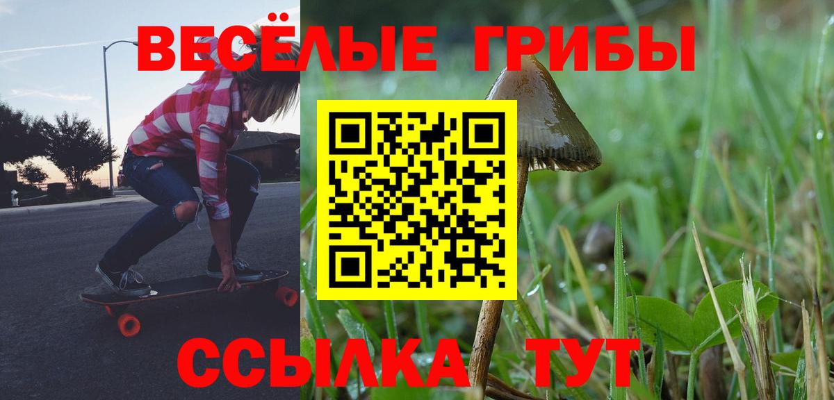 Галлюциногенные грибы MAGIC MUSHROOMS Копейск